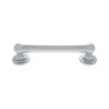 Grab Bar in Polished Chrome